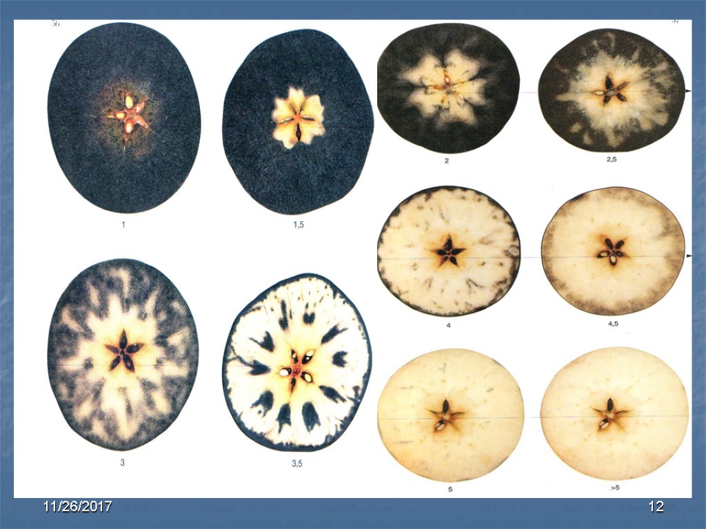 12 11/26/2017 12 11/26/2017